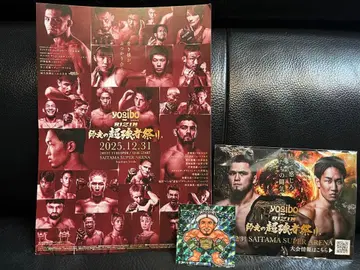 [ 새상품 ] 셰이드 라에프 반짝이 스티커 세트