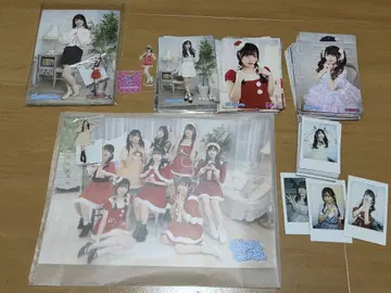 퓨어리 몬스터 브로마이드 폴라로이드 세트