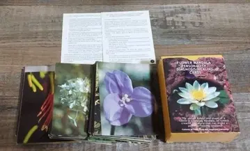 야생화 에센스 진단 꽃 카드