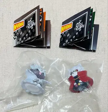 히로아카냥코 시가라키 다비