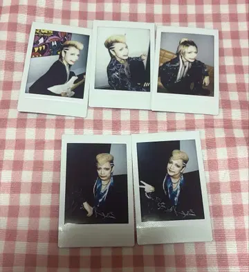 달콤한 폭력 의 폴라로이드