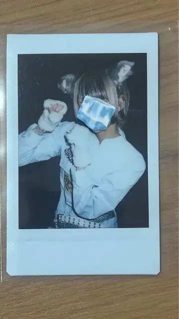 러브시크 하야테 폴라로이드