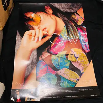 CAVE 2nd Mini Album 포스터 B2 사이즈