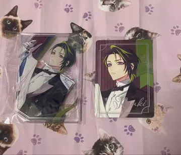 오토후유 큐피파라 류키