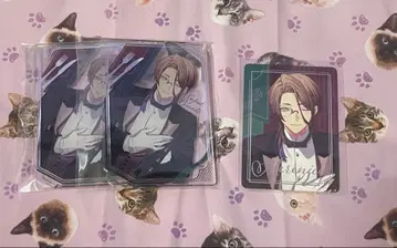 오토후유 큐피파라 메레니스