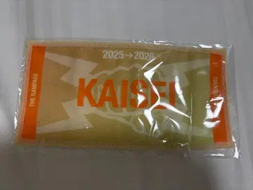 타케치 카이세이