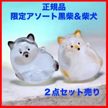 우리 아이 털뭉치 강아지 털뭉치