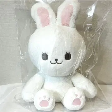 nct dream 재민 40cm 봉제 인형 마스터 인형