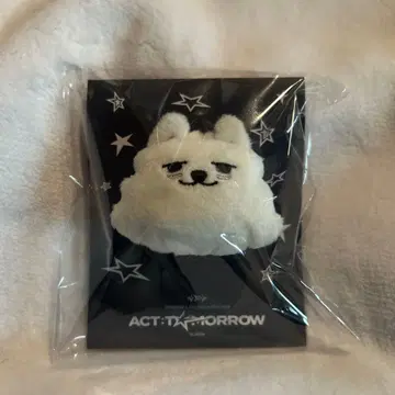 [정품] TXT 풀바두 마스코트 반지 최영준