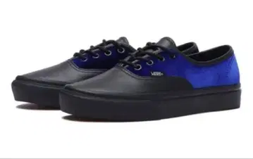 아리하라 미유키 VANS AUTHENTIC 25cm