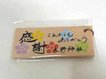 오노 신사 아라시 컬러 스트랩