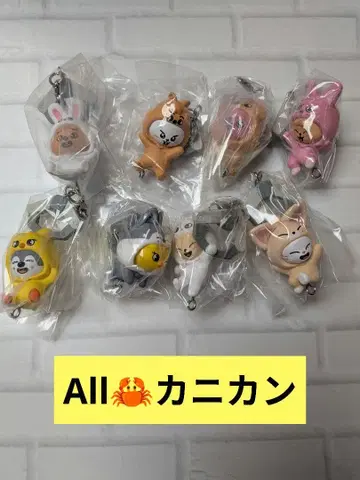 SKZOO 츳만데츠나게테마스코토 vol.2 컴플리트 카니칸