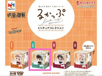 주술회전 룩업 미니어처 컬렉션 후시구로 메구미 2점 세트 익명 배송