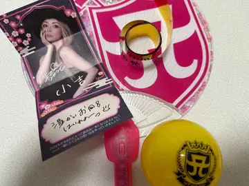하마사키 아유미 카운트다운 굿즈 4종 세트