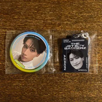 에이론 AERON 가챠 캔뱃지 메지루시 참 키링 네오에그