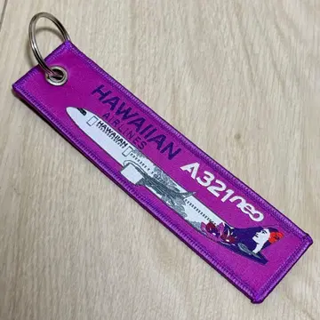 하와이안 항공 HAWAIIAN AIRLINES A321neo 플라이트 택