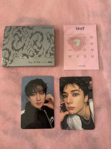 스트레이 키즈 DO IT PLATFORM PLVE ver