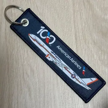 아메리칸 항공 American Airlines 100주년 플라이트 택