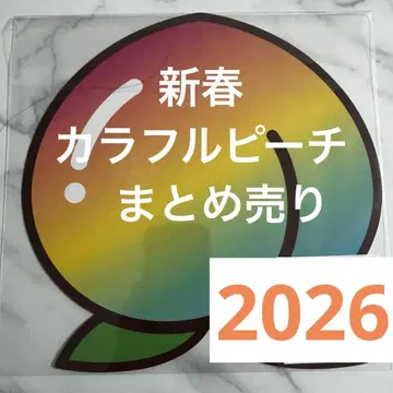 신춘 컬러풀 피치 묶음 판매