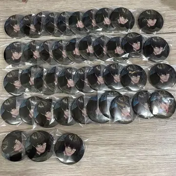 스키카와 레이 잔신 캔뱃지