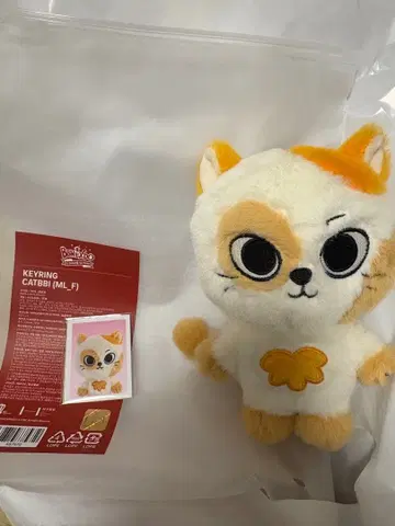 boynextdoor 푸네크도 보네크도 케피 CATBBI 키링