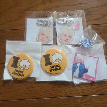 TREASURE LOVE PULSE 캡슐 토이 정환