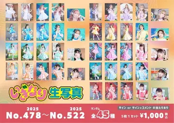 이기나리 도호쿠산 생사진 컴프 세트