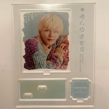 SEVENTEEN 정한 아이노치카라 아크릴 스탠드