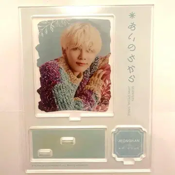 SEVENTEEN 정한 아이노치카라 아크릴 스탠드
