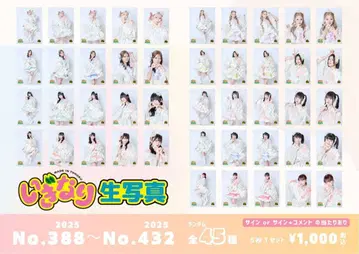 이기가리 도호쿠산 생사진 컴프세트 388-432