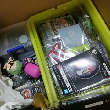 트위스테 묶음 판매 트위스티드 원더랜드