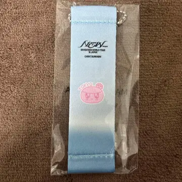 SEVENTEEN 세븐틴 세부치 봉봉이 도쿄 시크릿 플래그 키링