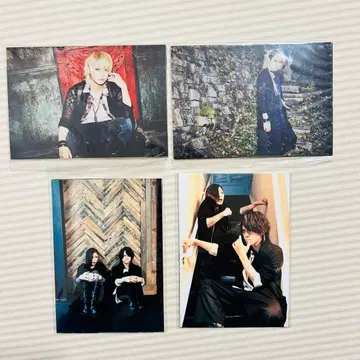 The Brow Beat 사진 세트 사토 류지 Ryuji HAKUEI