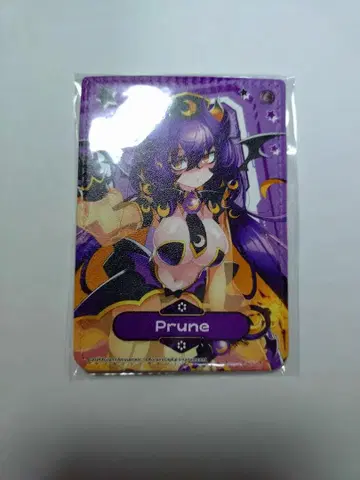 봄버걸 POPUPSHOP B2 태피스트리 푸룬