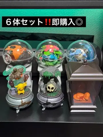 포켓몬 테라리움 컬렉션 6체 세트!