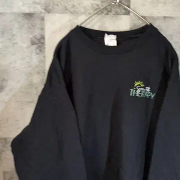 헤인즈 맨투맨 트레이닝복 블랙 S C46,20