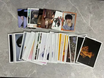 초특급 하루 브로마이드 트레이딩 카드 미니 사진 묶음 판매 65장