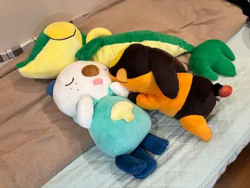 포켓몬 센터 첫 꿈 쌔근쌔근 봉제 인형 저시테 스이쿤 챗카 세트