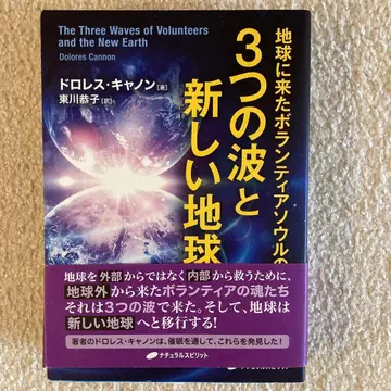 지구에 온 자원봉사자 서울의 3가지 파동과 새로운 지구