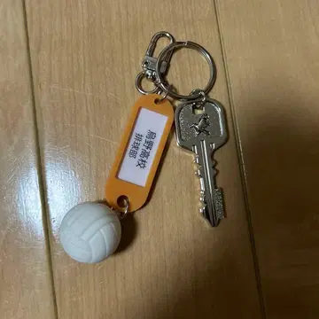 하이큐 열쇠 참 키링 카라스노