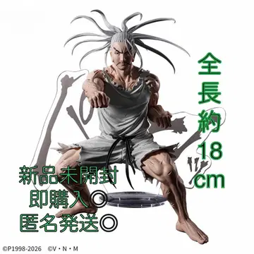 HUNTER x HUNTER 네테로 피규어