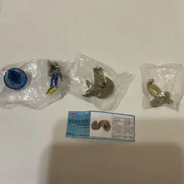 초레어 곰치 피규어 세트