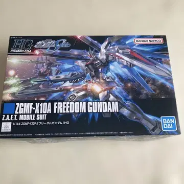 HG ZGMF-K10A FREEDOM GUNDAM 1/144