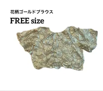 꽃무늬 골드 레이스 크롭 상의 반팔 블라우스 골드 컬러 시어 레이스