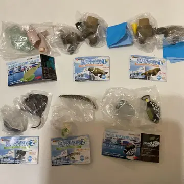 레어 토바 수족관 피규어