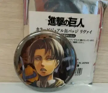 진격의 거인 hexaride 헤키사라이드 리바이 캔 배지