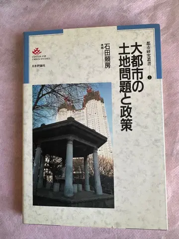 대도시의 토지 문제와 정책