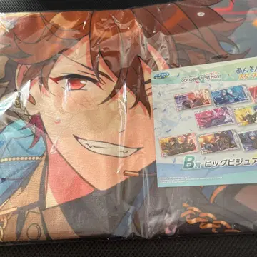 프로세카 안스타 비주얼 타월