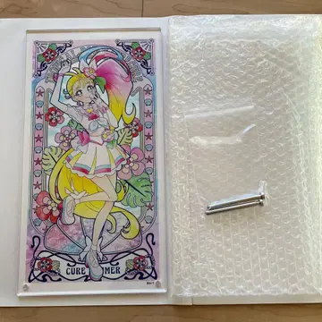아크릴 아트 보드 프리큐어 큐어 썸머 트로피컬 루즈 프리큐어
