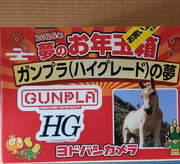 요도바시 카메라 꿈의 세뱃돈 상자 건담 프라모델 하이 등급의 꿈